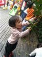 人气：485  上传时间：2018/10/23 14:06:21