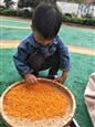 人气：534  上传时间：2018/10/23 14:06:28