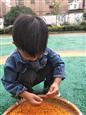 人气：536  上传时间：2018/10/23 14:06:31