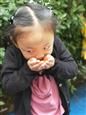 人气：496  上传时间：2018/10/23 12:16:07