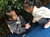 人气：532  上传时间：2018/10/23 12:16:10