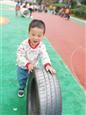 人气：545  上传时间：2018/10/25 13:35:29