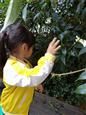 人气：547  上传时间：2018/10/25 13:42:20