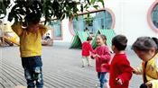 人气：520  上传时间：2018/10/25 13:42:21