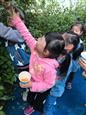人气：271  上传时间：2018/10/26 12:53:39