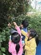 人气：301  上传时间：2018/10/26 12:53:40