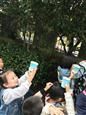 人气：295  上传时间：2018/10/26 12:53:41