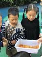 人气：295  上传时间：2018/10/26 12:53:45