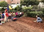 人气：229  上传时间：2018/10/26 12:57:17