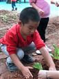 人气：324  上传时间：2018/10/26 12:57:18