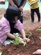 人气：251  上传时间：2018/10/26 12:57:20