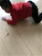 人气：259  上传时间：2018/10/26 12:59:01