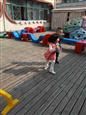 人气：558  上传时间：2018/10/31 14:23:22