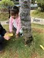 人气：561  上传时间：2018/10/31 7:25:38