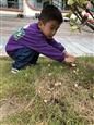 人气：573  上传时间：2018/10/31 7:25:39