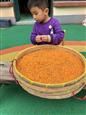 人气：539  上传时间：2018/10/31 7:30:32