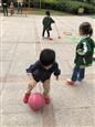 人气：517  上传时间：2018/10/31 7:30:49
