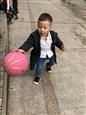 人气：508  上传时间：2018/10/31 7:30:49