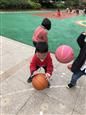 人气：467  上传时间：2018/10/31 7:30:50