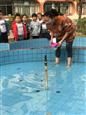 人气：313  上传时间：2018/11/2 16:30:06