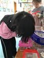 人气：239  上传时间：2018/11/2 16:32:41