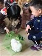 人气：282  上传时间：2018/11/2 16:34:00