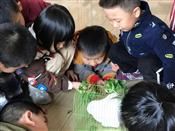 人气：276  上传时间：2018/11/2 16:34:04