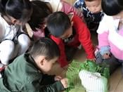 人气：282  上传时间：2018/11/2 16:34:06