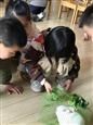 人气：281  上传时间：2018/11/2 16:34:06