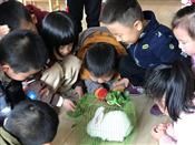人气：242  上传时间：2018/11/2 16:34:08