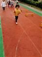 人气：635  上传时间：2018/11/5 7:41:40