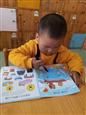 人气：625  上传时间：2018/11/5 7:47:28