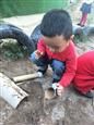 人气：583  上传时间：2018/11/7 13:56:50
