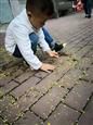 人气：491  上传时间：2018/11/8 7:43:02