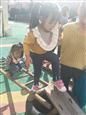 人气：507  上传时间：2018/11/8 8:22:35