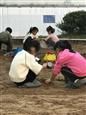 人气：254  上传时间：2018/11/9 11:45:53