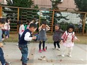 人气：599  上传时间：2018/11/10 19:54:08