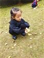 人气：524  上传时间：2018/11/15 13:24:39