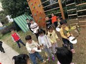 人气：539  上传时间：2018/11/15 7:46:31