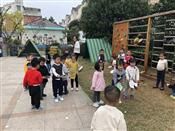 人气：580  上传时间：2018/11/15 7:46:32