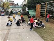人气：572  上传时间：2018/11/15 7:46:32