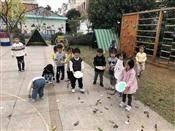 人气：556  上传时间：2018/11/15 7:46:35