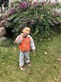 人气：569  上传时间：2018/11/15 7:48:47