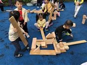 人气：524  上传时间：2018/11/15 7:49:56