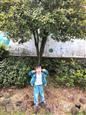 人气：543  上传时间：2018/11/15 7:51:11