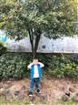 人气：499  上传时间：2018/11/15 7:51:11