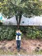 人气：525  上传时间：2018/11/15 7:51:12