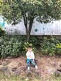 人气：535  上传时间：2018/11/15 7:51:14