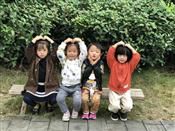 人气：516  上传时间：2018/11/15 7:51:14