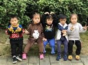 人气：503  上传时间：2018/11/15 7:51:14